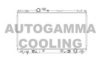 AUTOGAMMA 104671 Radiator, engine cooling